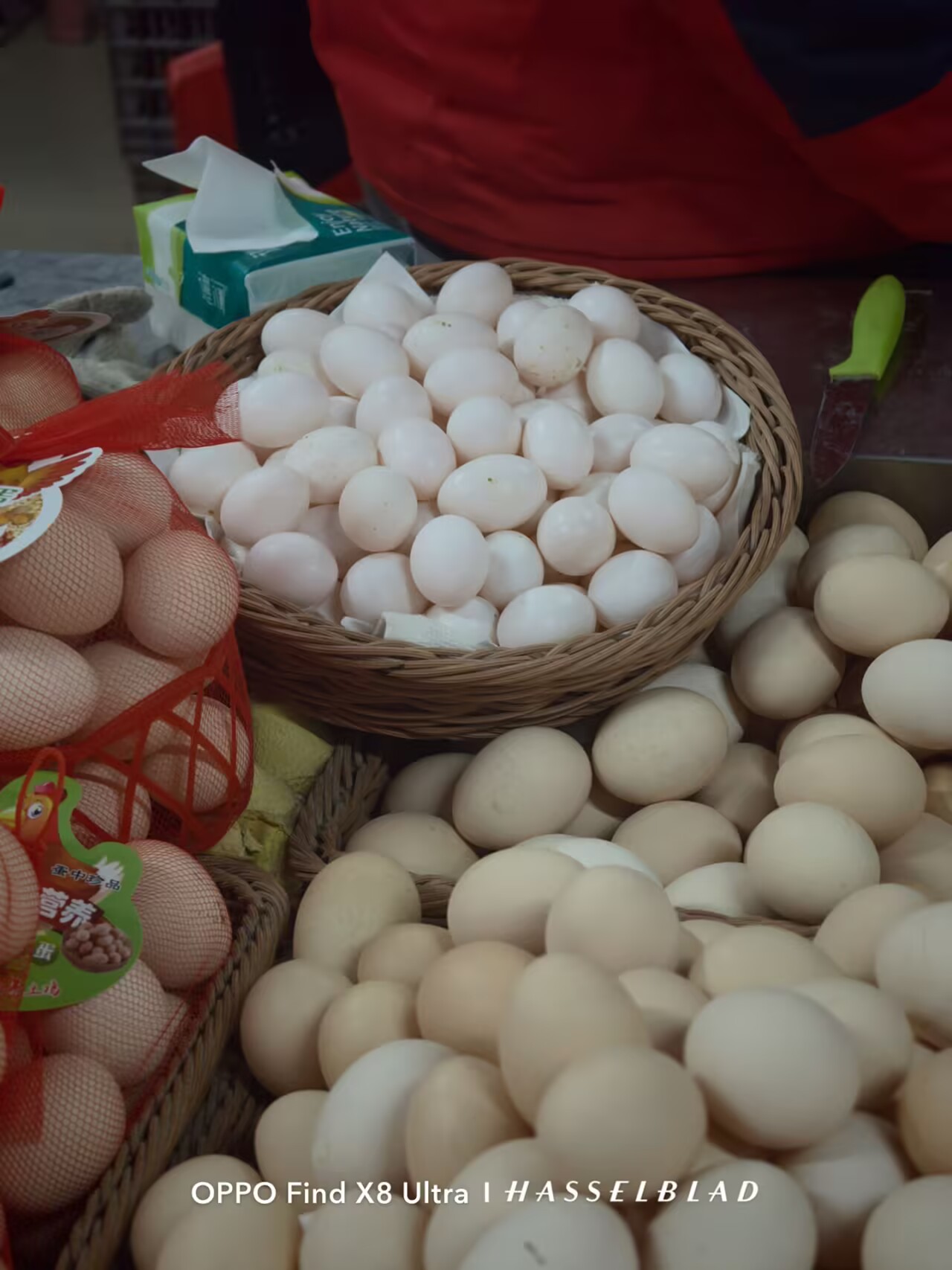 烟火文沃，康城新章